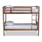 Baxton Studio Liam Walnut Brown Finished Wood Twin Size Bunk Bed 157-9634 - alternate 6